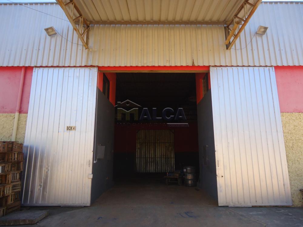 Alugar Comerciais / Barracões em São José do Rio Pardo apenas R$ 1.650,00 - Foto 4 Alugar Comerciais / Barracões em São José do Rio Pardo apenas R$ 1.650,00 - Foto 4