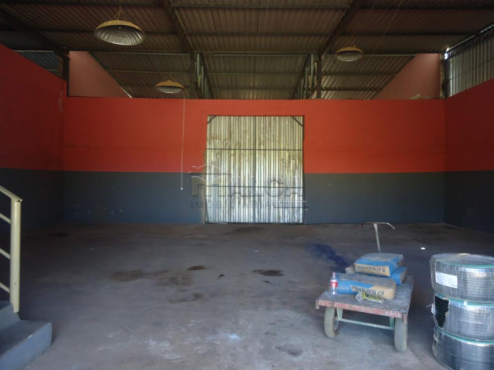 Alugar Comerciais / Barracões em São José do Rio Pardo apenas R$ 1.650,00 - Foto 6 Alugar Comerciais / Barracões em São José do Rio Pardo apenas R$ 1.650,00 - Foto 6