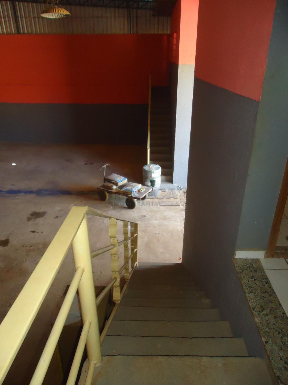 Alugar Comerciais / Barracões em São José do Rio Pardo apenas R$ 1.650,00 - Foto 15 Alugar Comerciais / Barracões em São José do Rio Pardo apenas R$ 1.650,00 - Foto 15