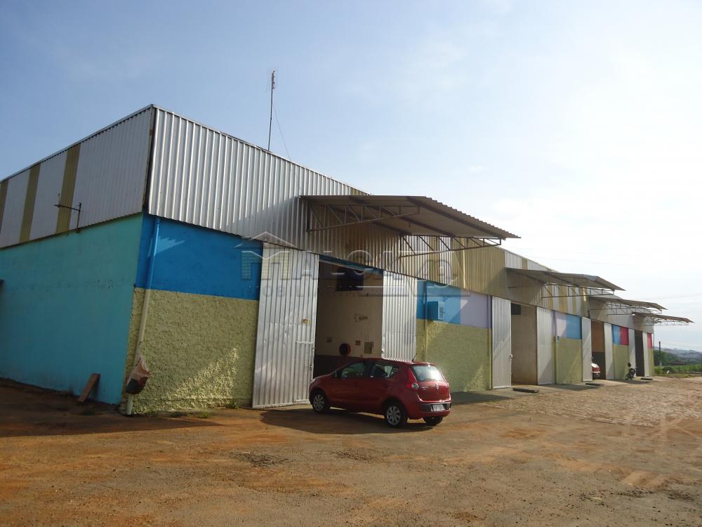 Alugar Comerciais / Barracões em São José do Rio Pardo apenas R$ 1.650,00 - Foto 1 Alugar Comerciais / Barracões em São José do Rio Pardo apenas R$ 1.650,00 - Foto 1