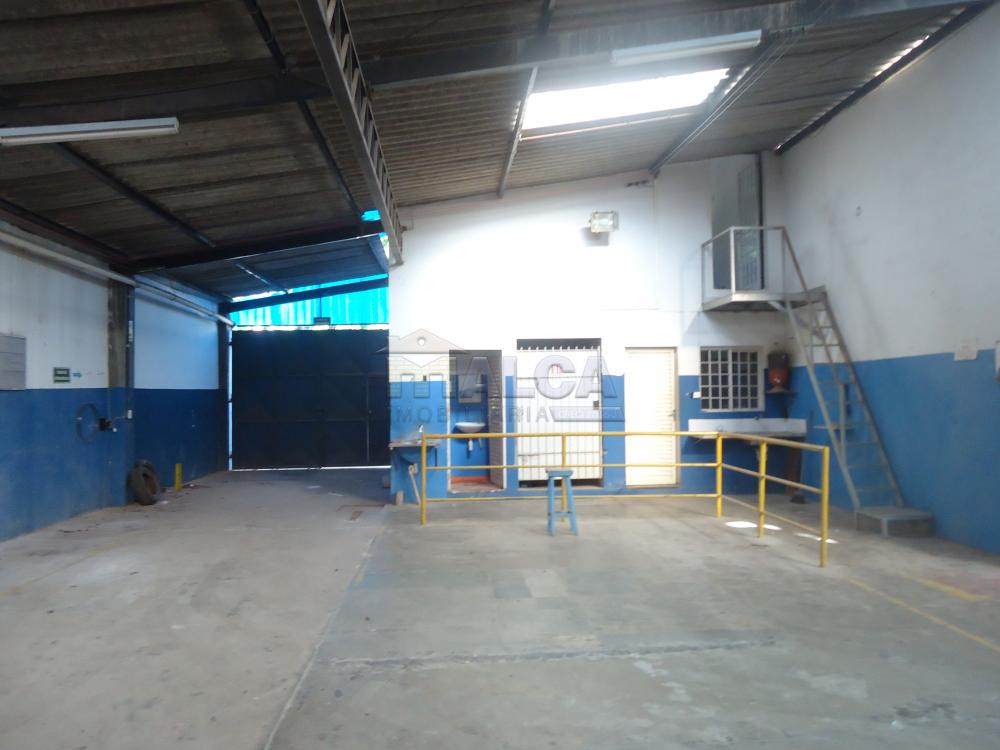 Alugar Comerciais / Barracões em São José do Rio Pardo apenas R$ 2.200,00 - Foto 17 Alugar Comerciais / Barracões em São José do Rio Pardo apenas R$ 2.200,00 - Foto 17