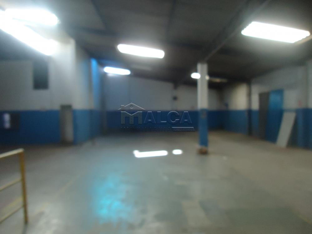 Alugar Comerciais / Barracões em São José do Rio Pardo apenas R$ 2.200,00 - Foto 15 Alugar Comerciais / Barracões em São José do Rio Pardo apenas R$ 2.200,00 - Foto 15