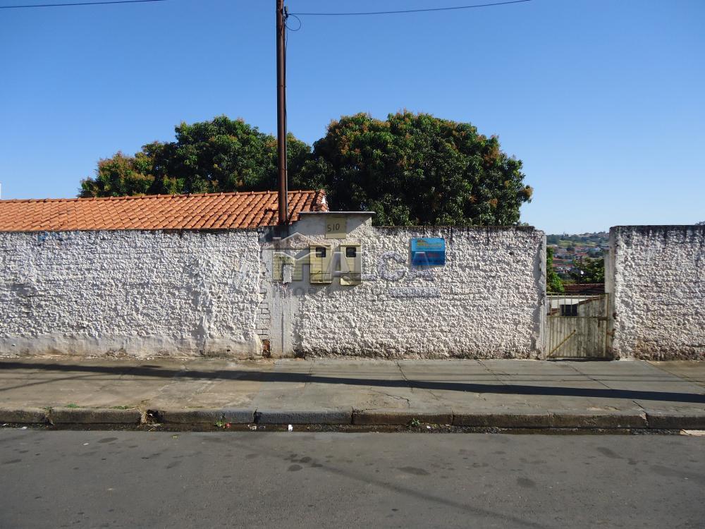 Alugar Casas / Padrão em São José do Rio Pardo apenas R$ 550,00 - Foto 1 Alugar Casas / Padrão em São José do Rio Pardo apenas R$ 550,00 - Foto 1