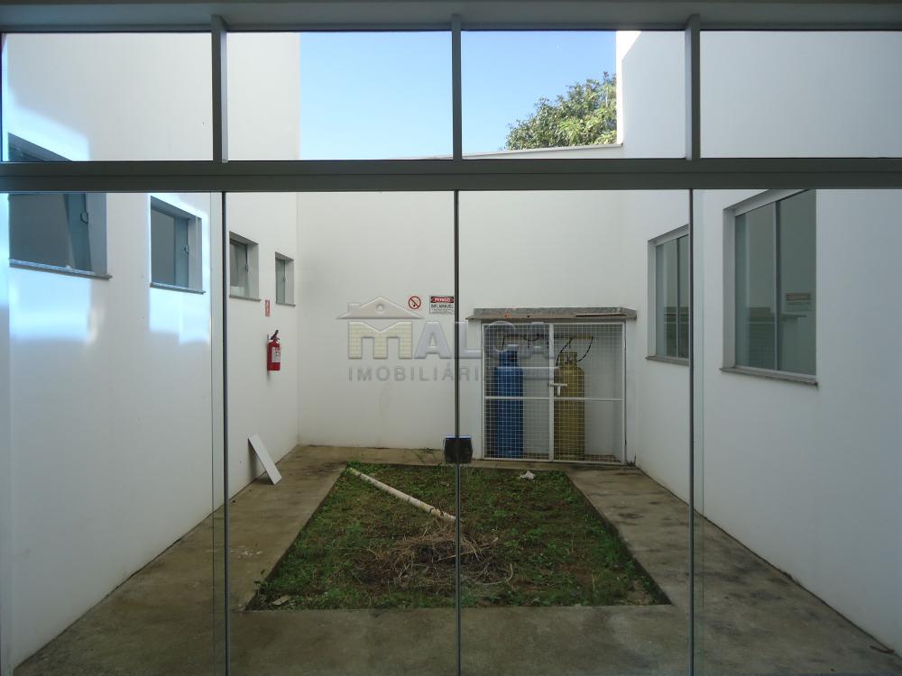 Alugar Comerciais / Salões em São José do Rio Pardo apenas R$ 7.800,00 - Foto 32 Alugar Comerciais / Salões em São José do Rio Pardo apenas R$ 7.800,00 - Foto 32