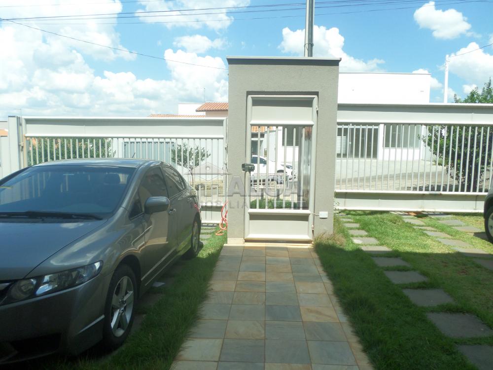 Alugar Apartamentos / Padrão em São José do Rio Pardo apenas R$ 1.230,00 - Foto 4 Alugar Apartamentos / Padrão em São José do Rio Pardo apenas R$ 1.230,00 - Foto 4
