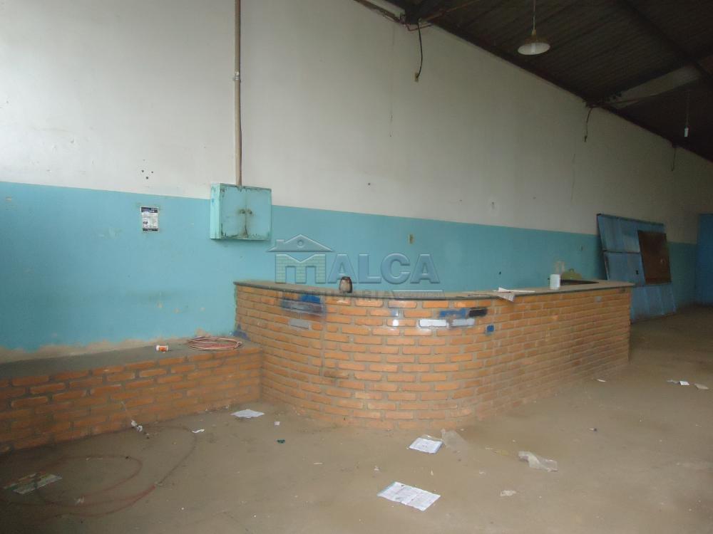 Alugar Comerciais / Barracões em São José do Rio Pardo apenas R$ 1.700,00 - Foto 3 Alugar Comerciais / Barracões em São José do Rio Pardo apenas R$ 1.700,00 - Foto 3