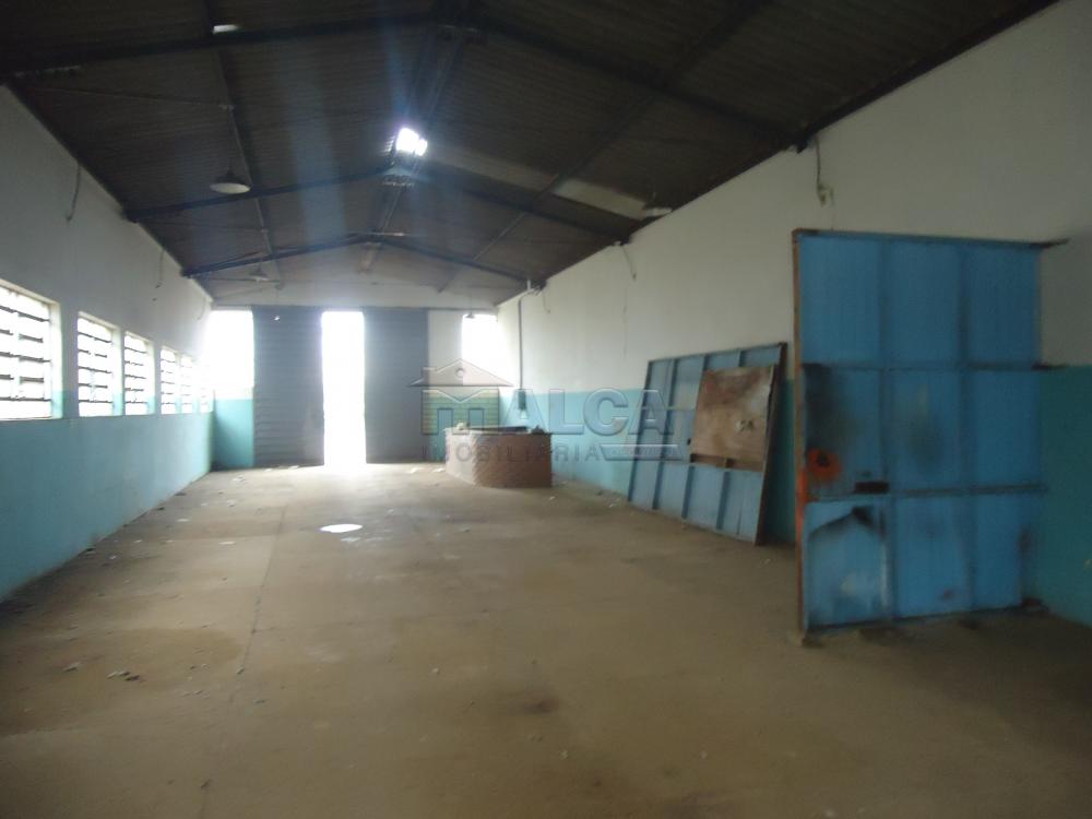 Alugar Comerciais / Barracões em São José do Rio Pardo apenas R$ 1.700,00 - Foto 6 Alugar Comerciais / Barracões em São José do Rio Pardo apenas R$ 1.700,00 - Foto 6