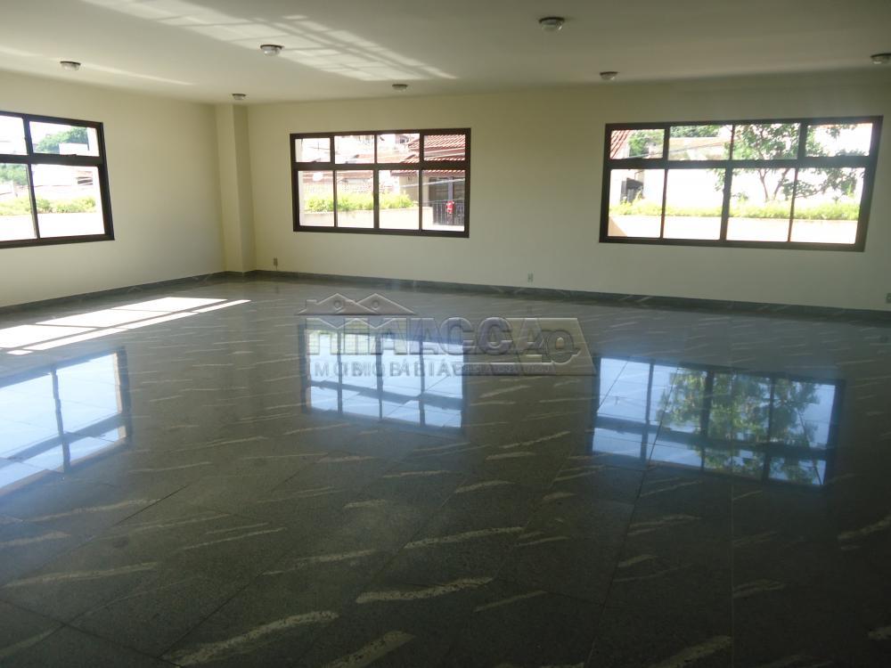 Alugar Apartamentos / Condomínio em São José do Rio Pardo apenas R$ 650,00 - Foto 36 Alugar Apartamentos / Condomínio em São José do Rio Pardo apenas R$ 650,00 - Foto 36