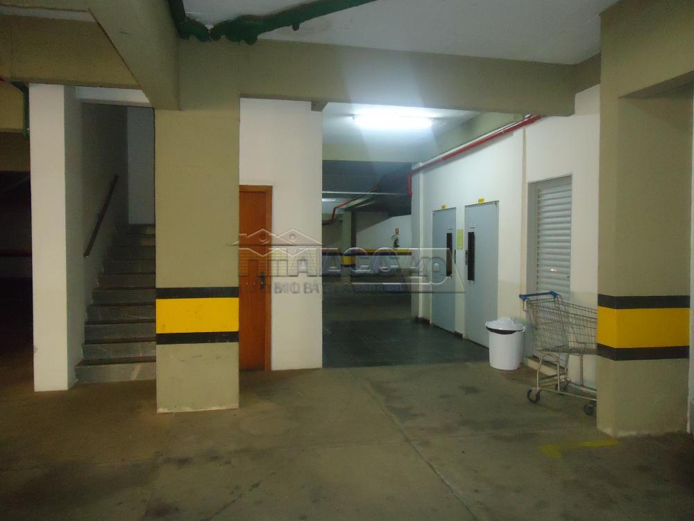 Alugar Apartamentos / Condomínio em São José do Rio Pardo apenas R$ 650,00 - Foto 41 Alugar Apartamentos / Condomínio em São José do Rio Pardo apenas R$ 650,00 - Foto 41