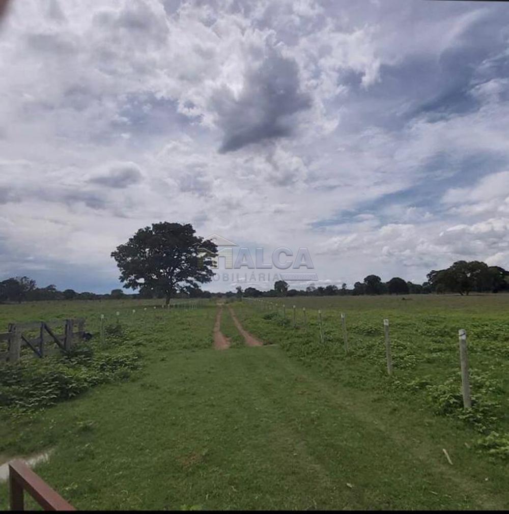 Comprar Rurais / Fazendas em Britânia apenas R$ 5.810.000,00 - Foto 9 Comprar Rurais / Fazendas em Britânia apenas R$ 5.810.000,00 - Foto 9
