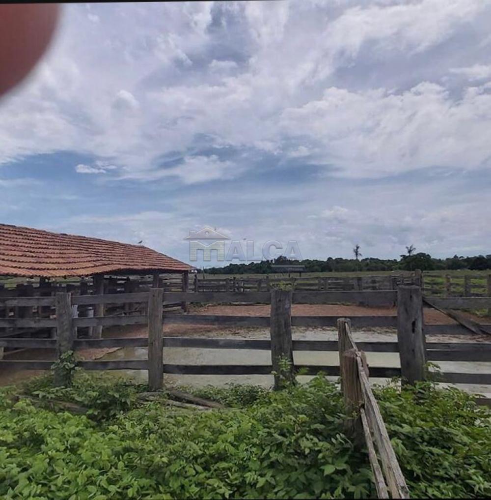 Comprar Rurais / Fazendas em Britânia apenas R$ 5.810.000,00 - Foto 2 Comprar Rurais / Fazendas em Britânia apenas R$ 5.810.000,00 - Foto 2
