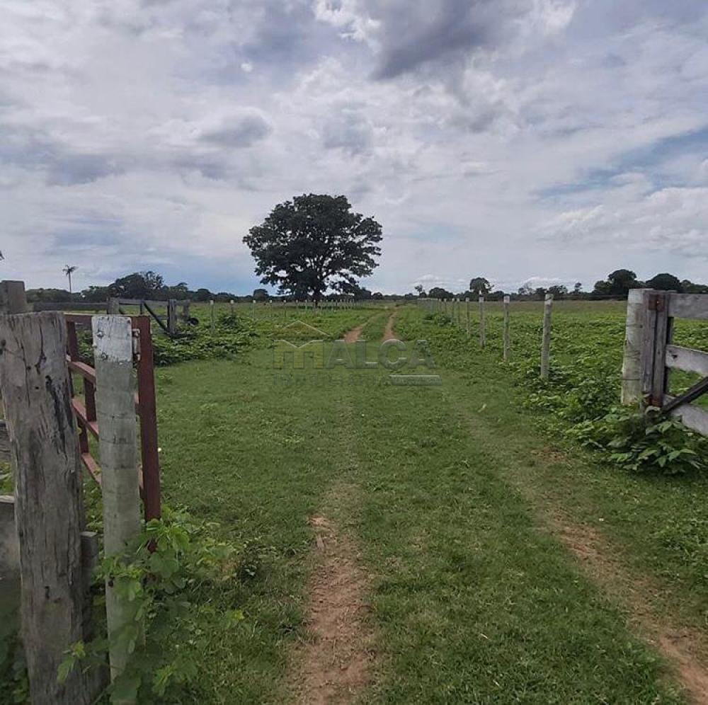 Comprar Rurais / Fazendas em Britânia apenas R$ 5.810.000,00 - Foto 3 Comprar Rurais / Fazendas em Britânia apenas R$ 5.810.000,00 - Foto 3