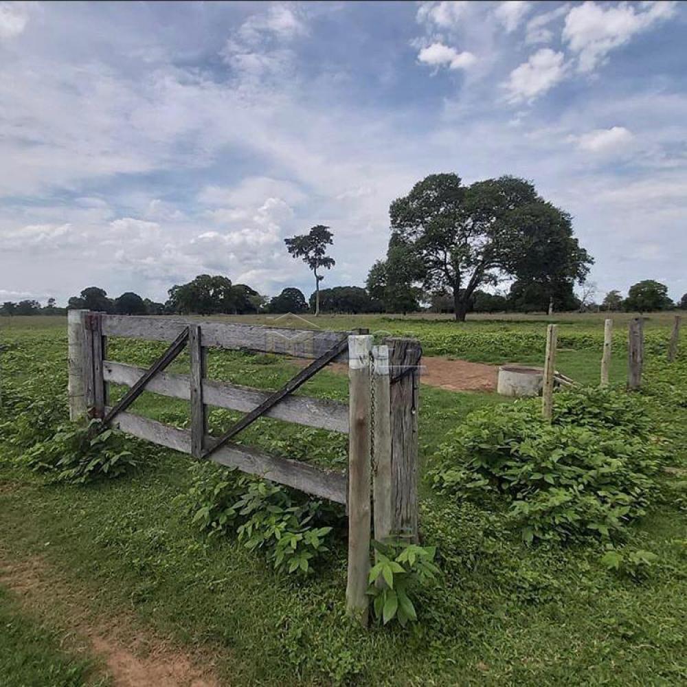 Comprar Rurais / Fazendas em Britânia apenas R$ 5.810.000,00 - Foto 4 Comprar Rurais / Fazendas em Britânia apenas R$ 5.810.000,00 - Foto 4