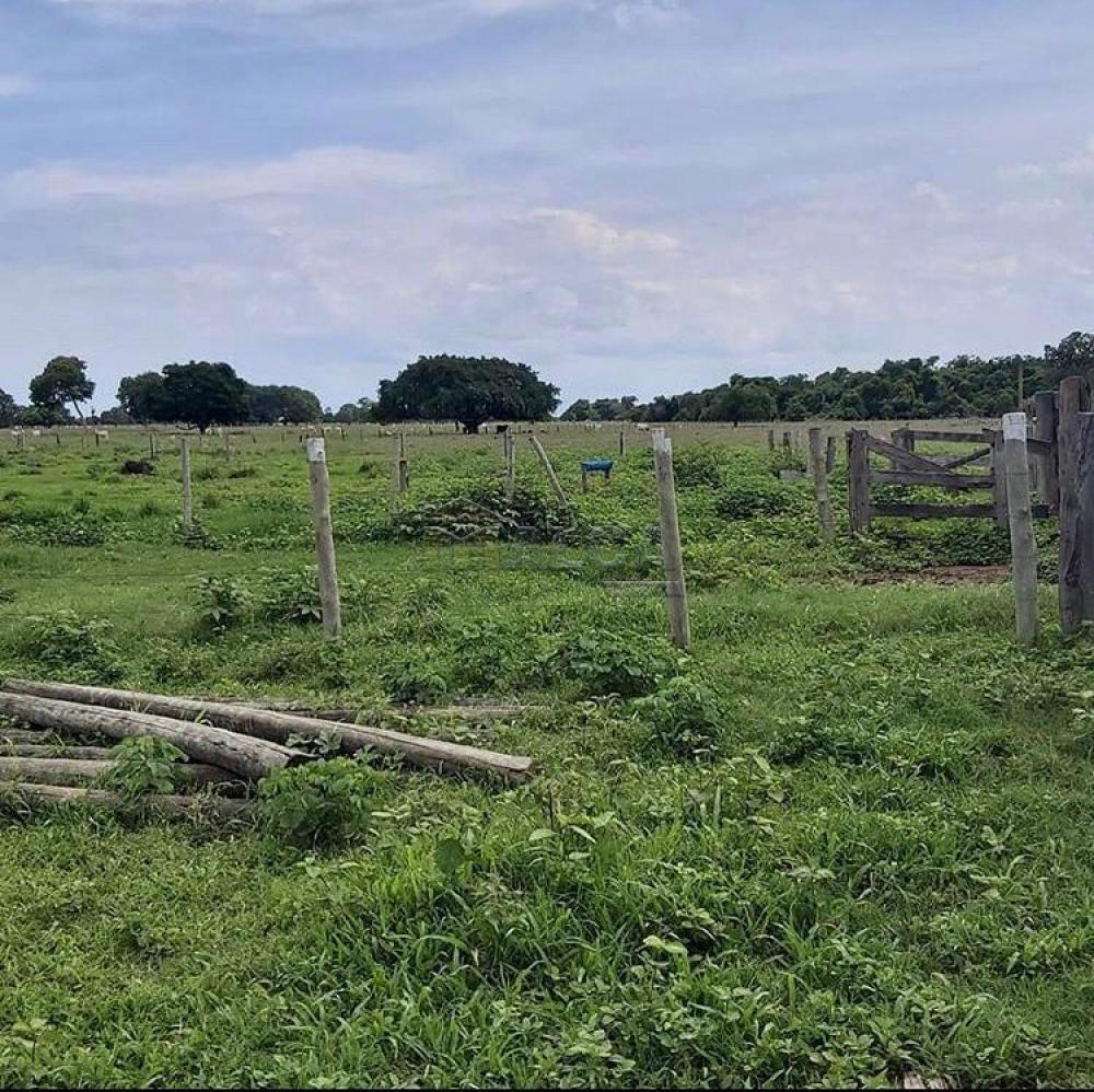 Comprar Rurais / Fazendas em Britânia apenas R$ 5.810.000,00 - Foto 6 Comprar Rurais / Fazendas em Britânia apenas R$ 5.810.000,00 - Foto 6