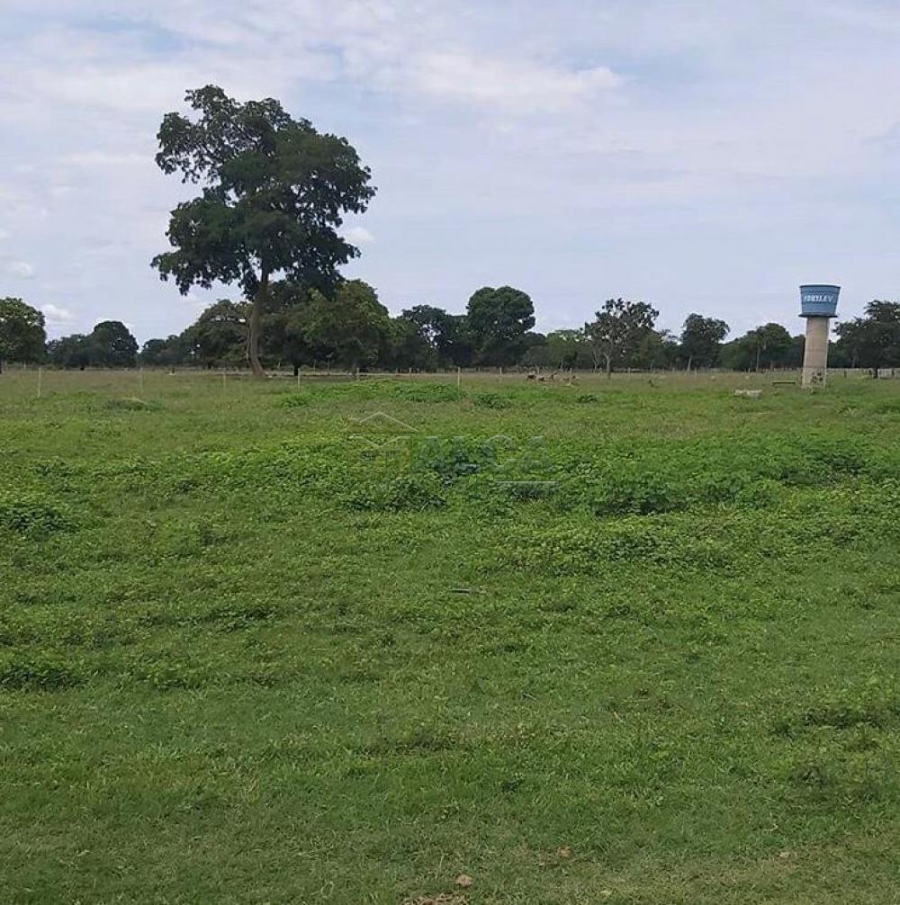 Comprar Rurais / Fazendas em Britânia apenas R$ 5.810.000,00 - Foto 8 Comprar Rurais / Fazendas em Britânia apenas R$ 5.810.000,00 - Foto 8