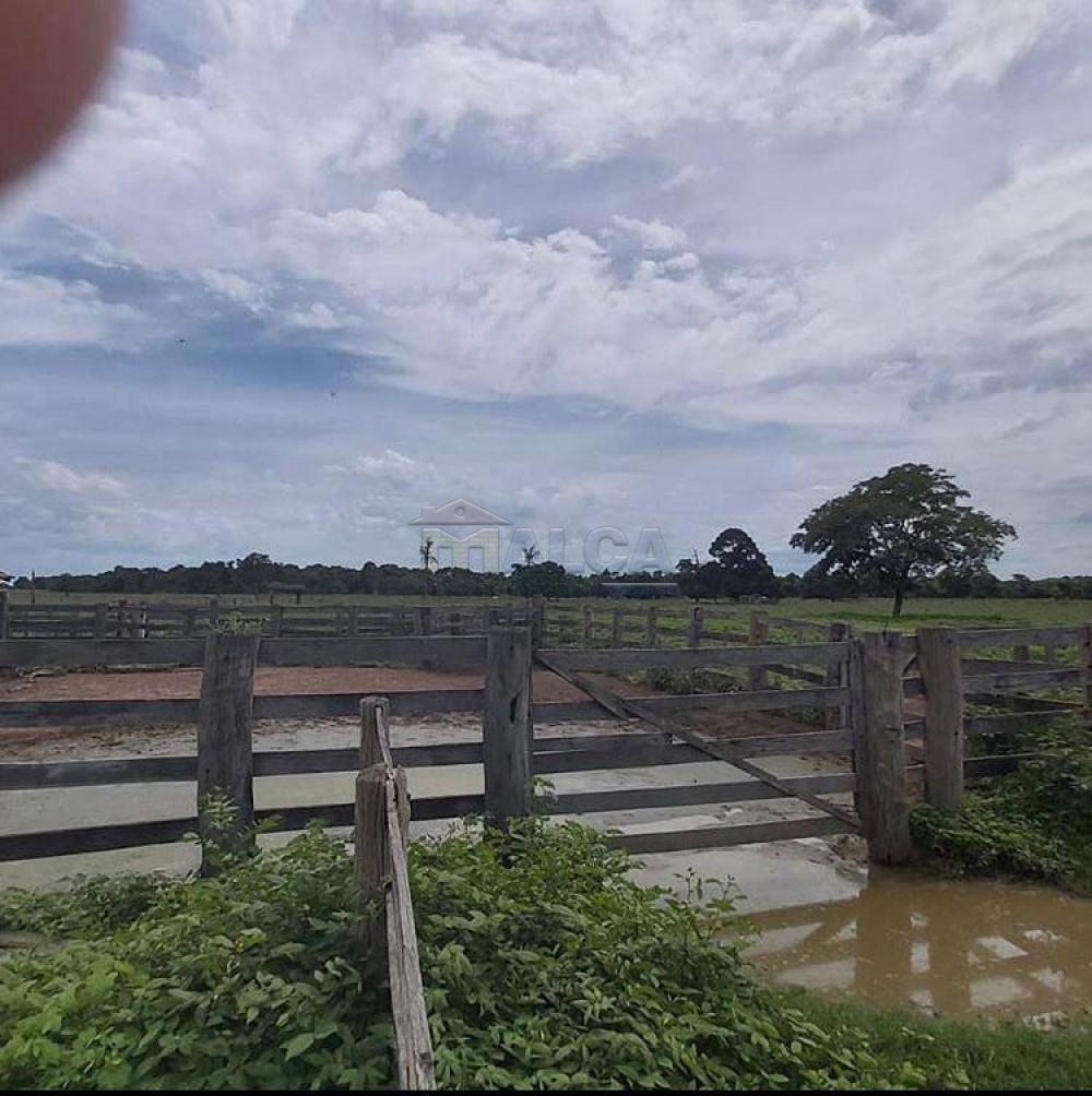 Comprar Rurais / Fazendas em Britânia apenas R$ 5.810.000,00 - Foto 7 Comprar Rurais / Fazendas em Britânia apenas R$ 5.810.000,00 - Foto 7
