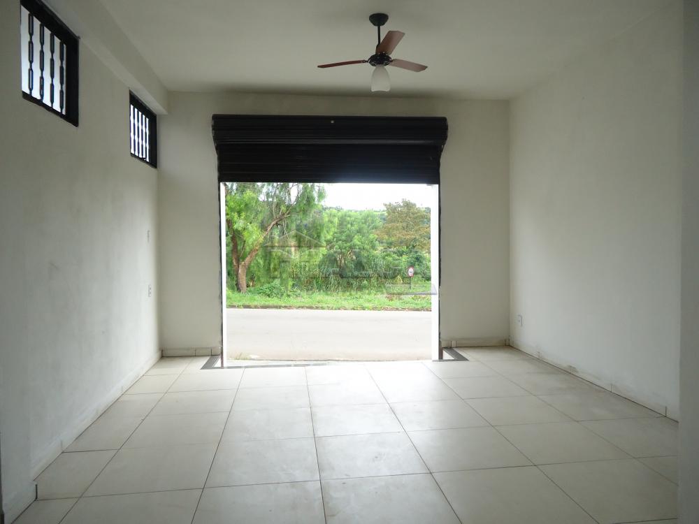 Alugar Comerciais / Salões em São José do Rio Pardo apenas R$ 770,00 - Foto 4 Alugar Comerciais / Salões em São José do Rio Pardo apenas R$ 770,00 - Foto 4