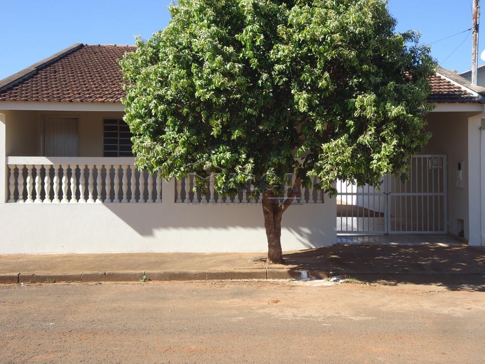 Alugar Casas / Padrão em São José do Rio Pardo apenas R$ 800,00 - Foto 1 Alugar Casas / Padrão em São José do Rio Pardo apenas R$ 800,00 - Foto 1