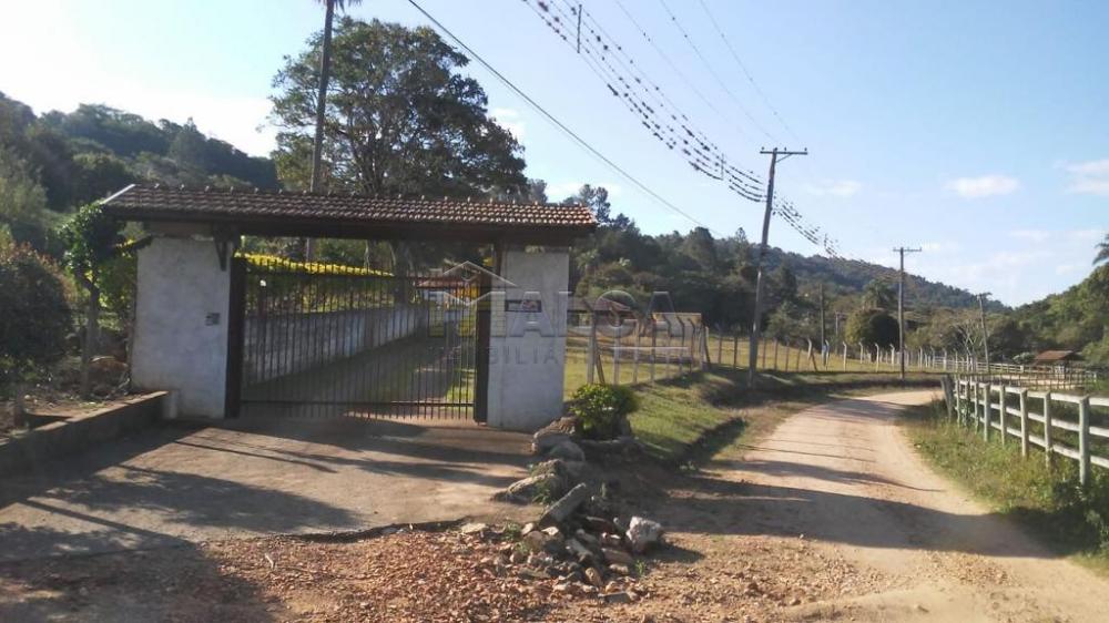Comprar Rurais / Sitios em São José do Rio Pardo apenas R$ 1.300.000,00 - Foto 1 Comprar Rurais / Sitios em São José do Rio Pardo apenas R$ 1.300.000,00 - Foto 1