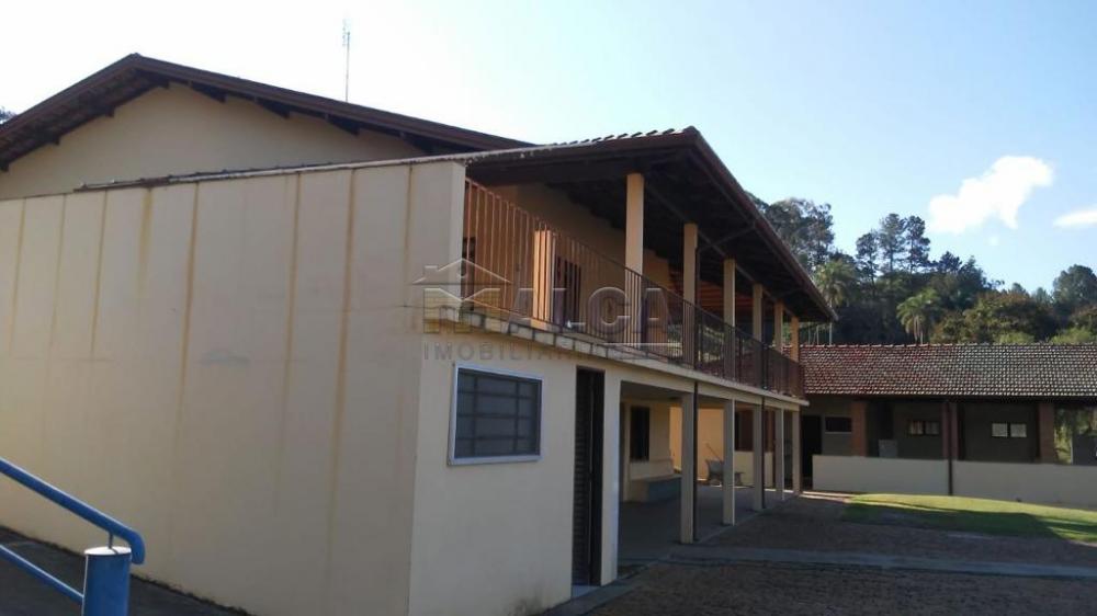 Comprar Rurais / Sitios em São José do Rio Pardo apenas R$ 1.300.000,00 - Foto 5 Comprar Rurais / Sitios em São José do Rio Pardo apenas R$ 1.300.000,00 - Foto 5
