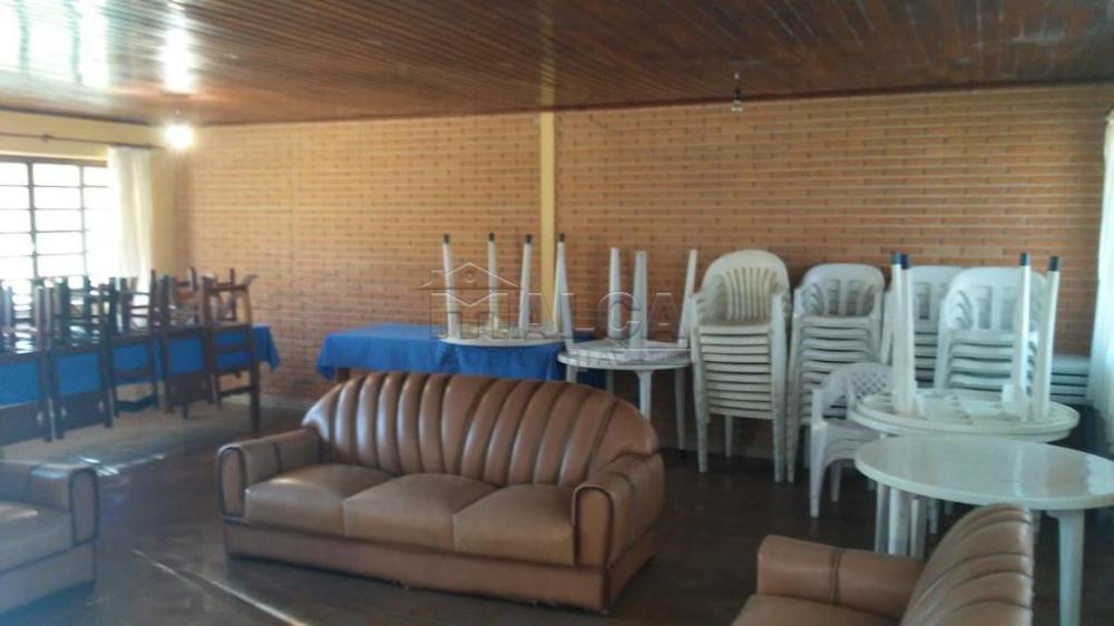 Comprar Rurais / Sitios em São José do Rio Pardo apenas R$ 1.300.000,00 - Foto 16 Comprar Rurais / Sitios em São José do Rio Pardo apenas R$ 1.300.000,00 - Foto 16