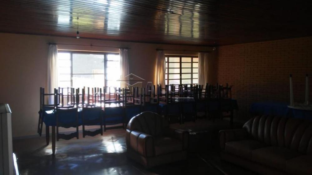 Comprar Rurais / Sitios em São José do Rio Pardo apenas R$ 1.300.000,00 - Foto 17 Comprar Rurais / Sitios em São José do Rio Pardo apenas R$ 1.300.000,00 - Foto 17