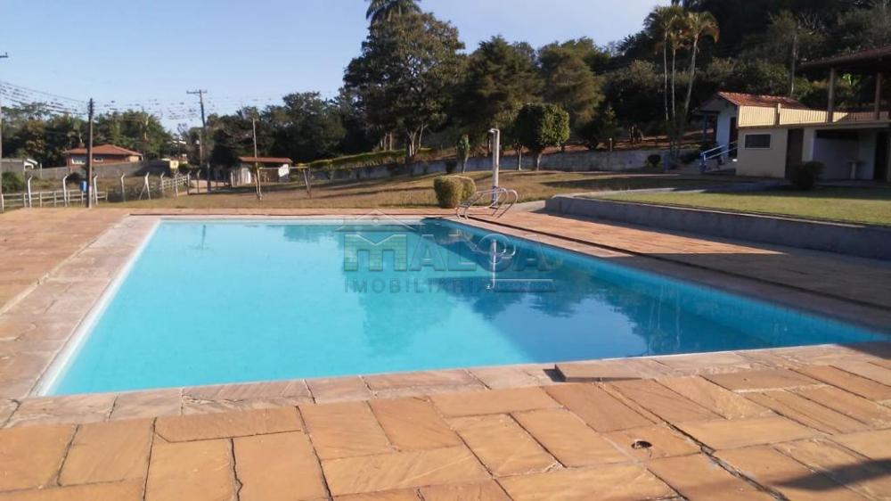 Comprar Rurais / Sitios em São José do Rio Pardo apenas R$ 1.300.000,00 - Foto 26 Comprar Rurais / Sitios em São José do Rio Pardo apenas R$ 1.300.000,00 - Foto 26