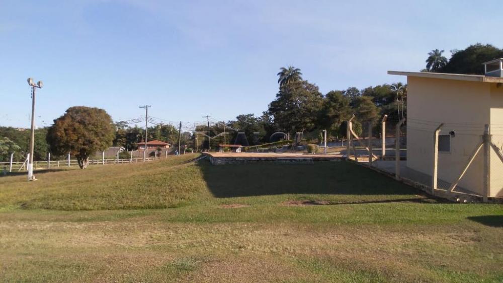 Comprar Rurais / Sitios em São José do Rio Pardo apenas R$ 1.300.000,00 - Foto 27 Comprar Rurais / Sitios em São José do Rio Pardo apenas R$ 1.300.000,00 - Foto 27