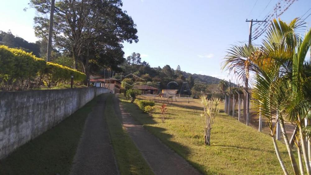 Comprar Rurais / Sitios em São José do Rio Pardo apenas R$ 1.300.000,00 - Foto 29 Comprar Rurais / Sitios em São José do Rio Pardo apenas R$ 1.300.000,00 - Foto 29