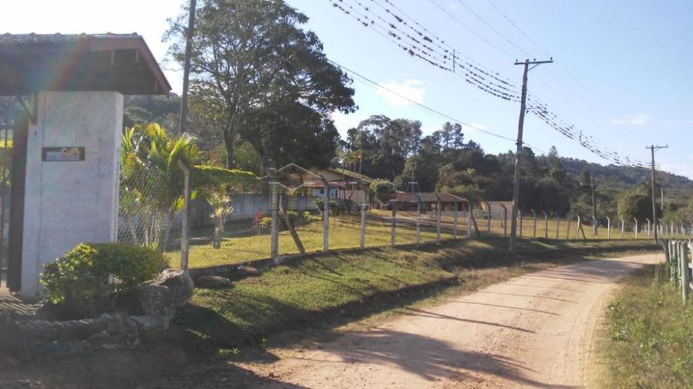Comprar Rurais / Sitios em São José do Rio Pardo apenas R$ 1.300.000,00 - Foto 30 Comprar Rurais / Sitios em São José do Rio Pardo apenas R$ 1.300.000,00 - Foto 30