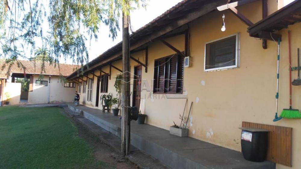 Comprar Rurais / Sitios em São José do Rio Pardo apenas R$ 1.300.000,00 - Foto 32 Comprar Rurais / Sitios em São José do Rio Pardo apenas R$ 1.300.000,00 - Foto 32