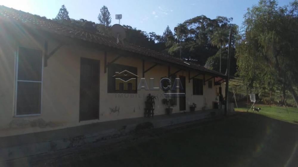 Comprar Rurais / Sitios em São José do Rio Pardo apenas R$ 1.300.000,00 - Foto 34 Comprar Rurais / Sitios em São José do Rio Pardo apenas R$ 1.300.000,00 - Foto 34