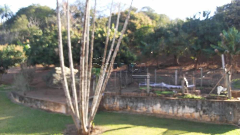 Comprar Rurais / Sitios em São José do Rio Pardo apenas R$ 1.300.000,00 - Foto 35 Comprar Rurais / Sitios em São José do Rio Pardo apenas R$ 1.300.000,00 - Foto 35