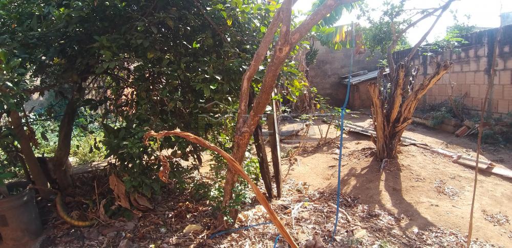 Comprar Casas / Padrão em São José do Rio Pardo apenas R$ 210.000,00 - Foto 11 Comprar Casas / Padrão em São José do Rio Pardo apenas R$ 210.000,00 - Foto 11