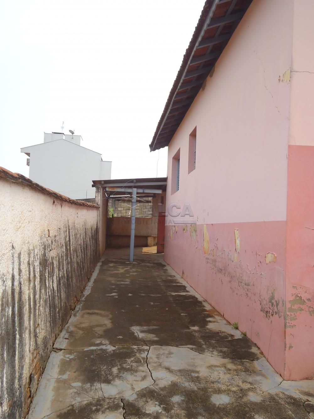 Alugar Casas / Padrão em São José do Rio Pardo apenas R$ 770,00 - Foto 25 Alugar Casas / Padrão em São José do Rio Pardo apenas R$ 770,00 - Foto 25