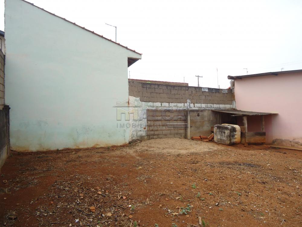 Alugar Casas / Padrão em São José do Rio Pardo apenas R$ 770,00 - Foto 37 Alugar Casas / Padrão em São José do Rio Pardo apenas R$ 770,00 - Foto 37