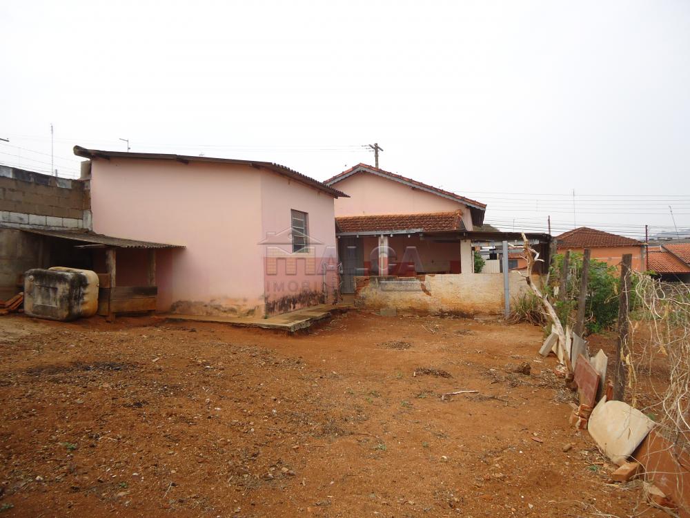 Alugar Casas / Padrão em São José do Rio Pardo apenas R$ 770,00 - Foto 38 Alugar Casas / Padrão em São José do Rio Pardo apenas R$ 770,00 - Foto 38