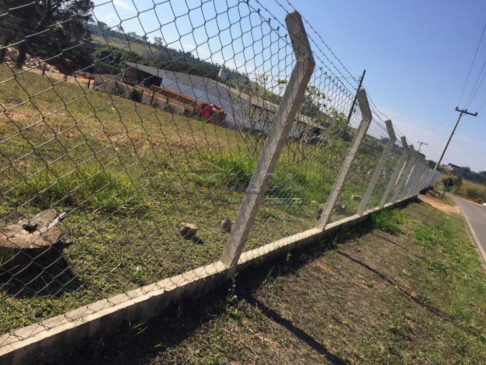 Comprar Rurais / Sitios em São José do Rio Pardo apenas R$ 650.000,00 - Foto 1 Comprar Rurais / Sitios em São José do Rio Pardo apenas R$ 650.000,00 - Foto 1
