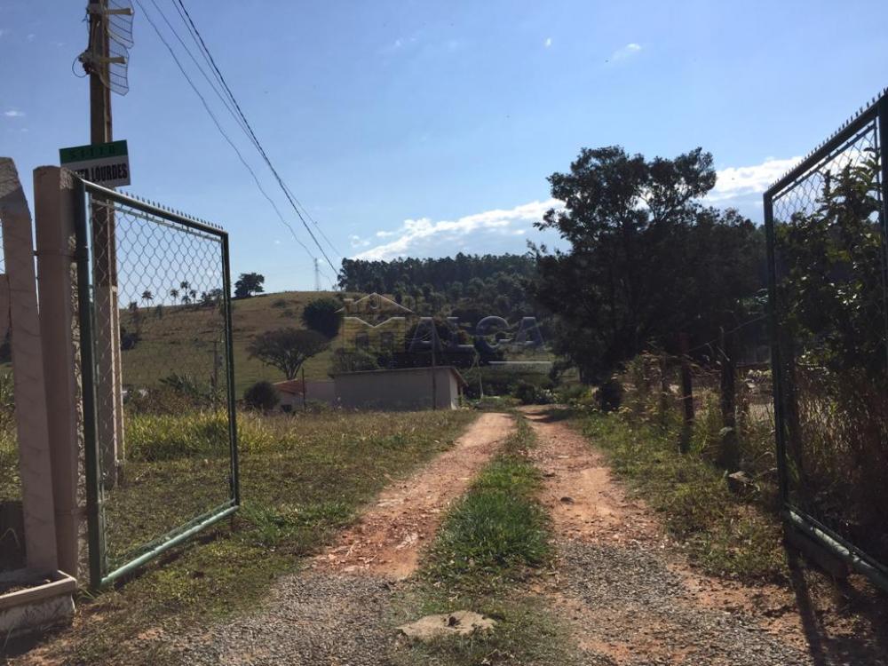 Comprar Rurais / Sitios em São José do Rio Pardo apenas R$ 650.000,00 - Foto 2 Comprar Rurais / Sitios em São José do Rio Pardo apenas R$ 650.000,00 - Foto 2