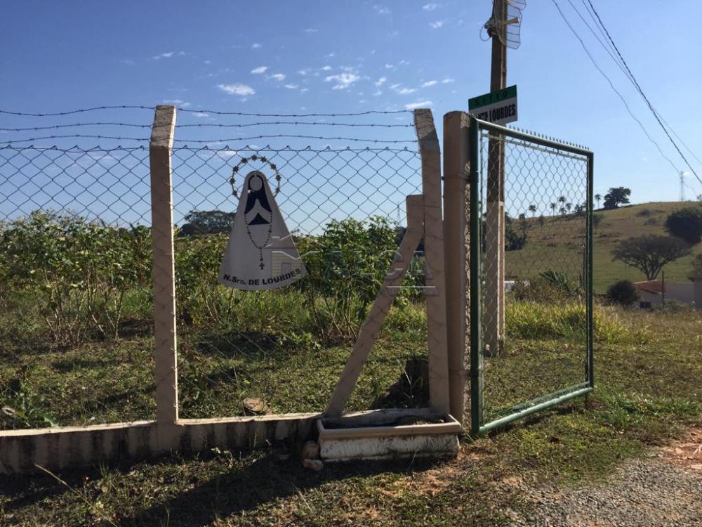 Comprar Rurais / Sitios em São José do Rio Pardo apenas R$ 650.000,00 - Foto 3 Comprar Rurais / Sitios em São José do Rio Pardo apenas R$ 650.000,00 - Foto 3