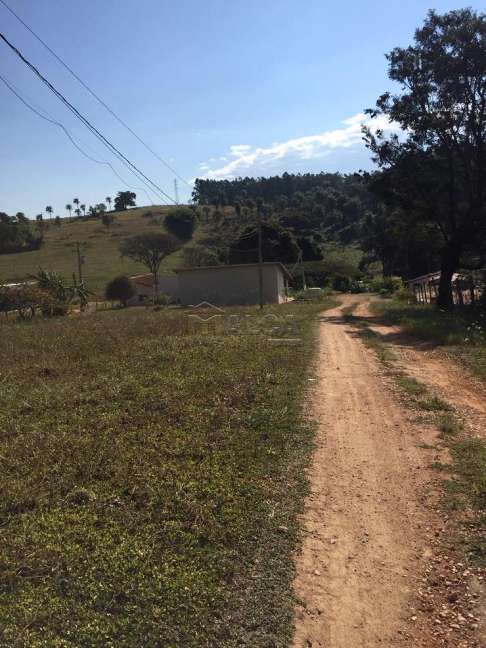 Comprar Rurais / Sitios em São José do Rio Pardo apenas R$ 650.000,00 - Foto 4 Comprar Rurais / Sitios em São José do Rio Pardo apenas R$ 650.000,00 - Foto 4