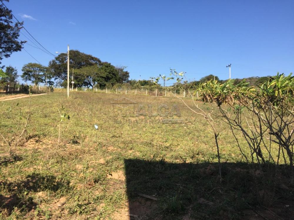 Comprar Rurais / Sitios em São José do Rio Pardo apenas R$ 650.000,00 - Foto 6 Comprar Rurais / Sitios em São José do Rio Pardo apenas R$ 650.000,00 - Foto 6