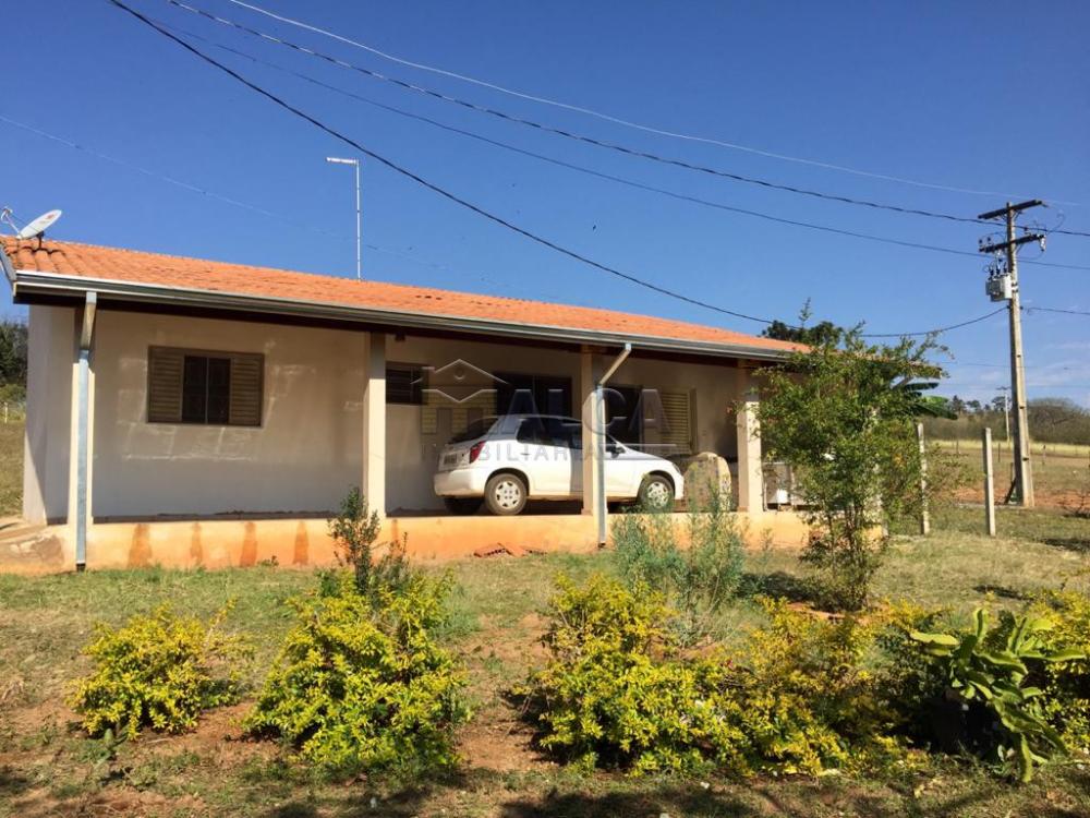 Comprar Rurais / Sitios em São José do Rio Pardo apenas R$ 650.000,00 - Foto 8 Comprar Rurais / Sitios em São José do Rio Pardo apenas R$ 650.000,00 - Foto 8