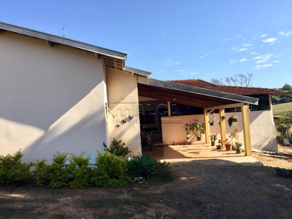 Comprar Rurais / Sitios em São José do Rio Pardo apenas R$ 650.000,00 - Foto 9 Comprar Rurais / Sitios em São José do Rio Pardo apenas R$ 650.000,00 - Foto 9