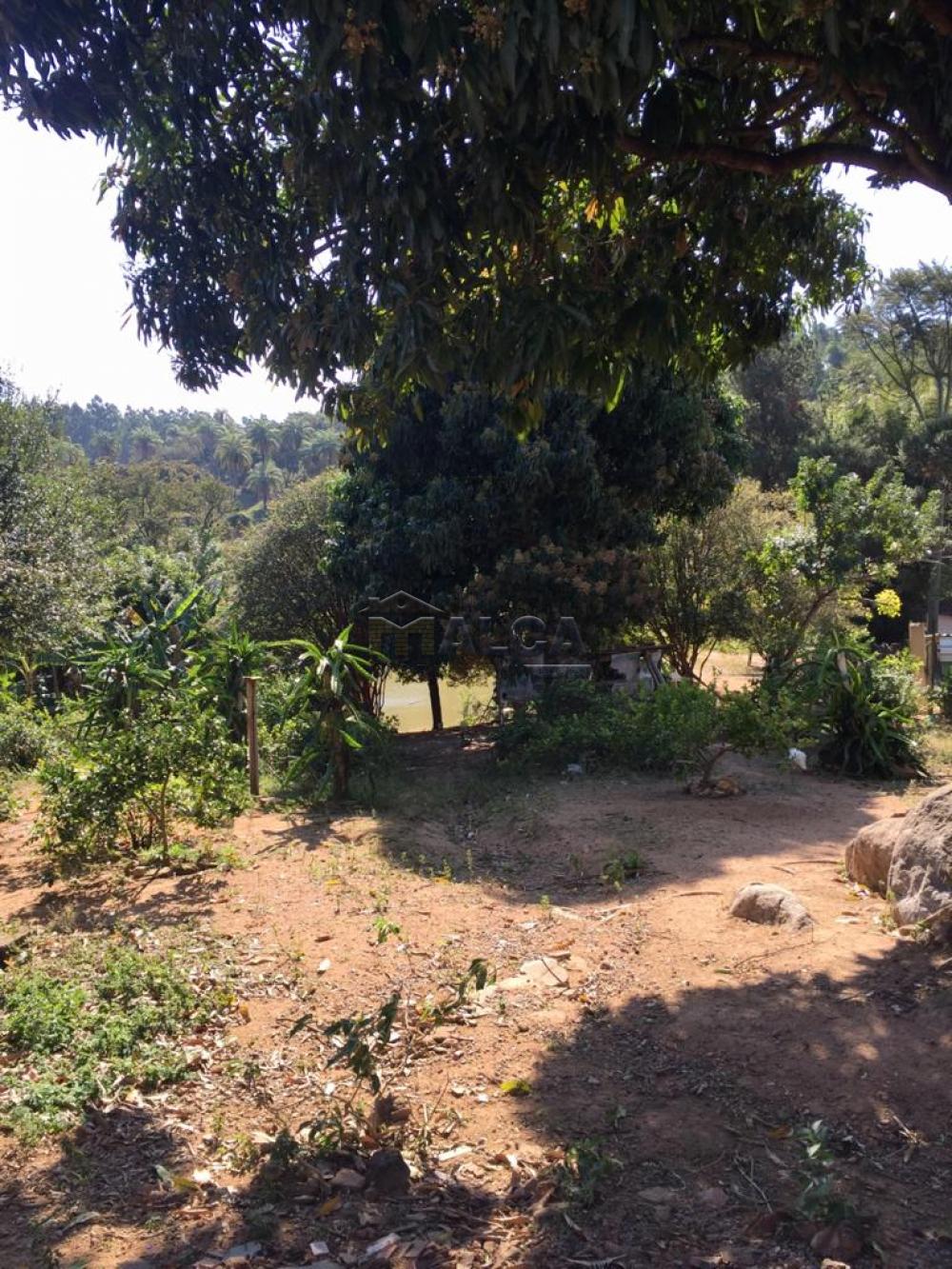 Comprar Rurais / Sitios em São José do Rio Pardo apenas R$ 650.000,00 - Foto 10 Comprar Rurais / Sitios em São José do Rio Pardo apenas R$ 650.000,00 - Foto 10