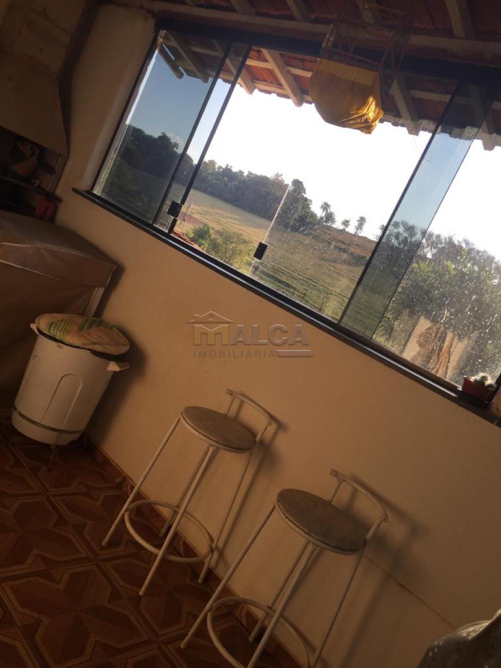 Comprar Rurais / Sitios em São José do Rio Pardo apenas R$ 650.000,00 - Foto 21 Comprar Rurais / Sitios em São José do Rio Pardo apenas R$ 650.000,00 - Foto 21