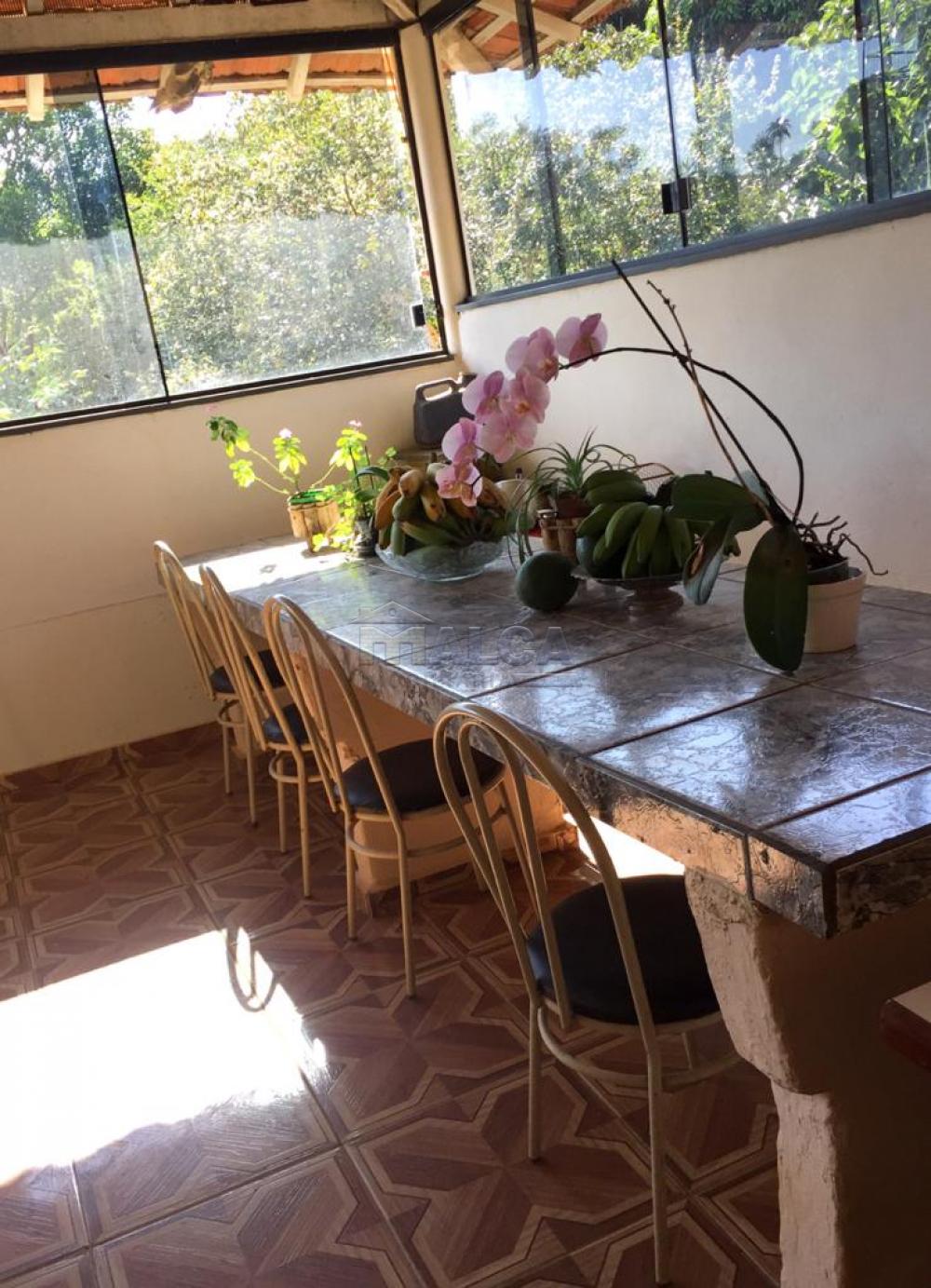 Comprar Rurais / Sitios em São José do Rio Pardo apenas R$ 650.000,00 - Foto 26 Comprar Rurais / Sitios em São José do Rio Pardo apenas R$ 650.000,00 - Foto 26