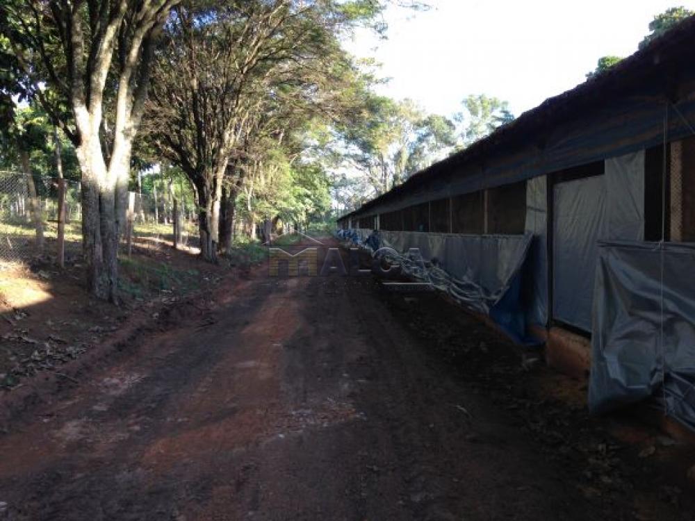 Comprar Rurais / Sitios em Itobi apenas R$ 1.270.290,00 - Foto 3 Comprar Rurais / Sitios em Itobi apenas R$ 1.270.290,00 - Foto 3