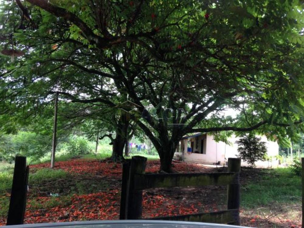 Comprar Rurais / Sitios em Itobi apenas R$ 1.270.290,00 - Foto 7 Comprar Rurais / Sitios em Itobi apenas R$ 1.270.290,00 - Foto 7