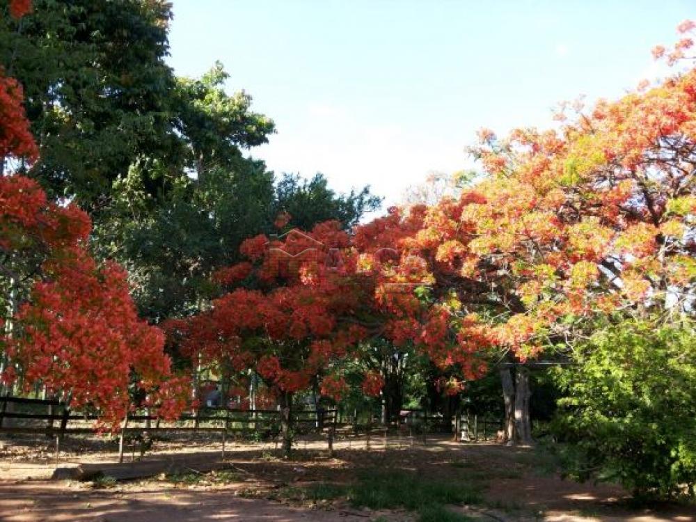 Comprar Rurais / Sitios em Itobi apenas R$ 1.270.290,00 - Foto 17 Comprar Rurais / Sitios em Itobi apenas R$ 1.270.290,00 - Foto 17